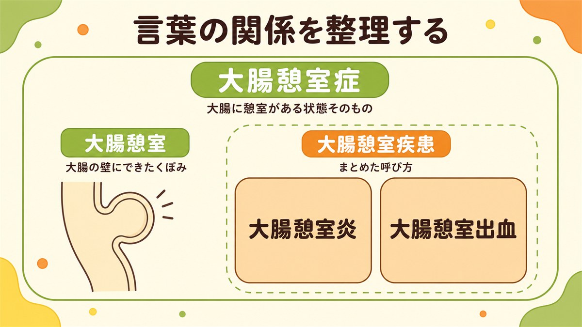 大腸憩室症・大腸憩室・大腸憩室炎・大腸憩室出血・大腸憩室疾患の関係を整理した図