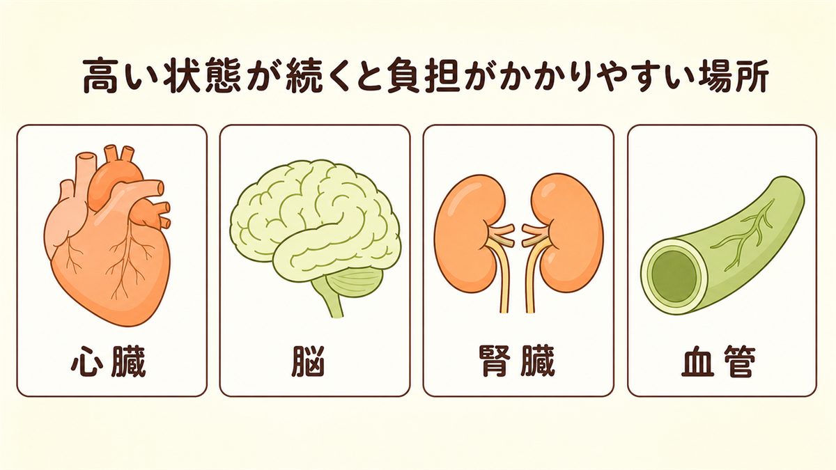 血圧が高い状態が続くと負担がかかりやすい場所（心臓・脳・腎臓・血管）