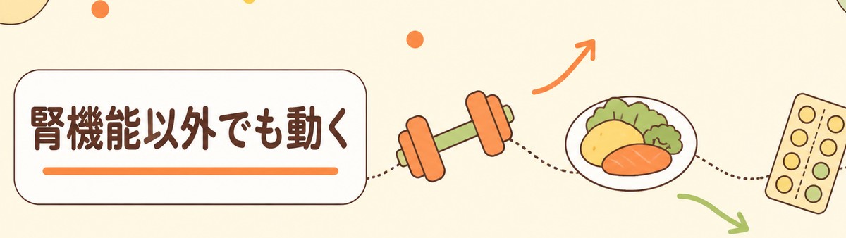 腎機能以外でも動く