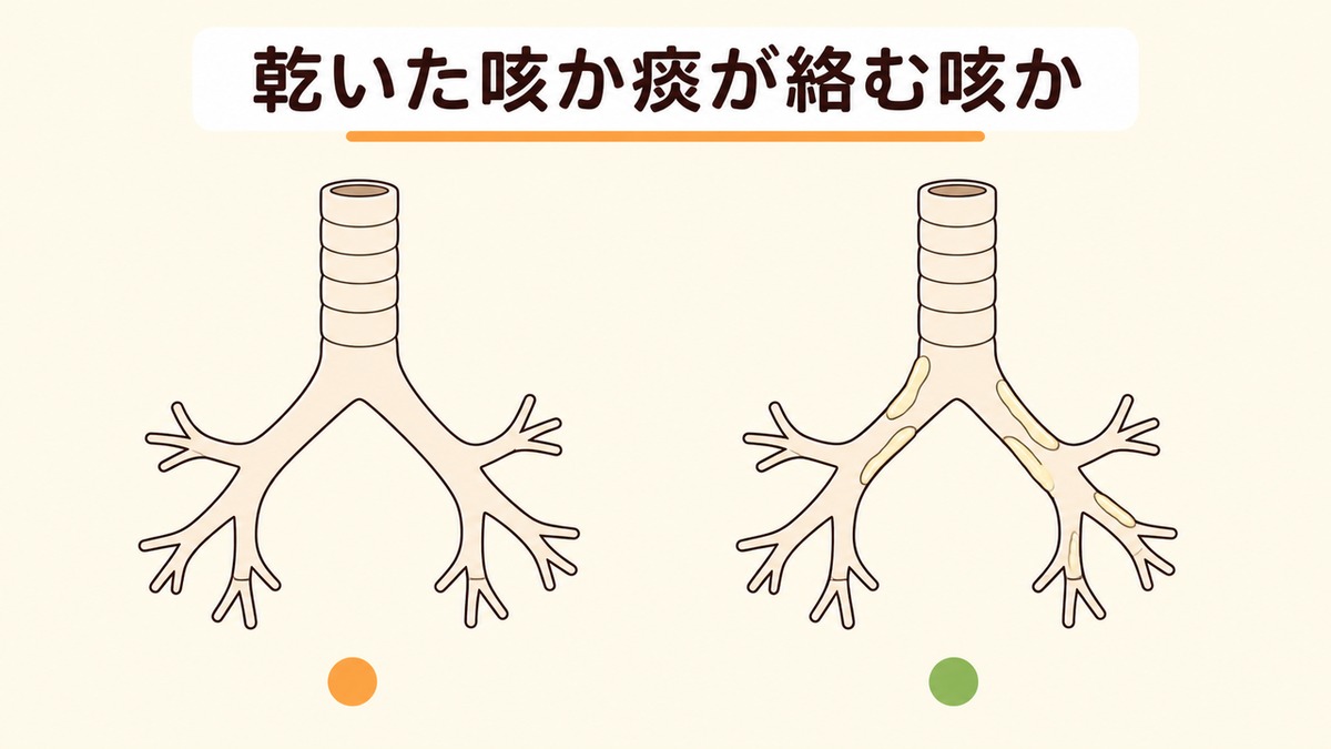 咳が止まらないのは乾いた咳(空咳)か痰が絡む咳か