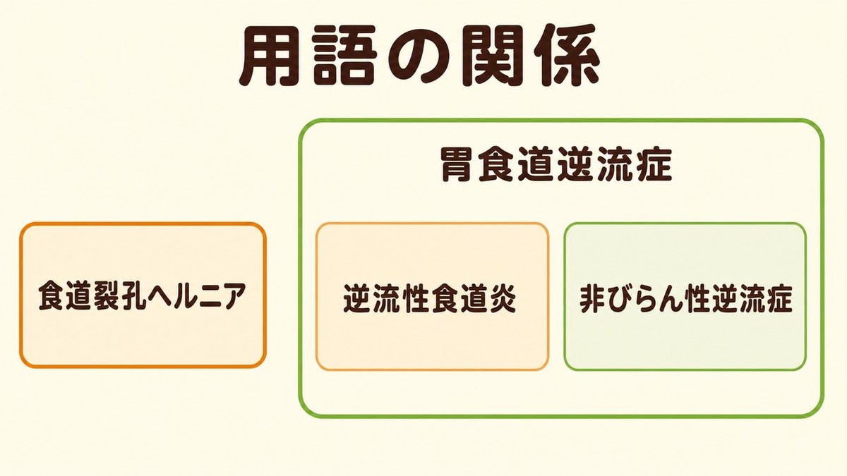 食道裂孔ヘルニアと胃食道逆流症・逆流性食道炎・非びらん性逆流症の関係
