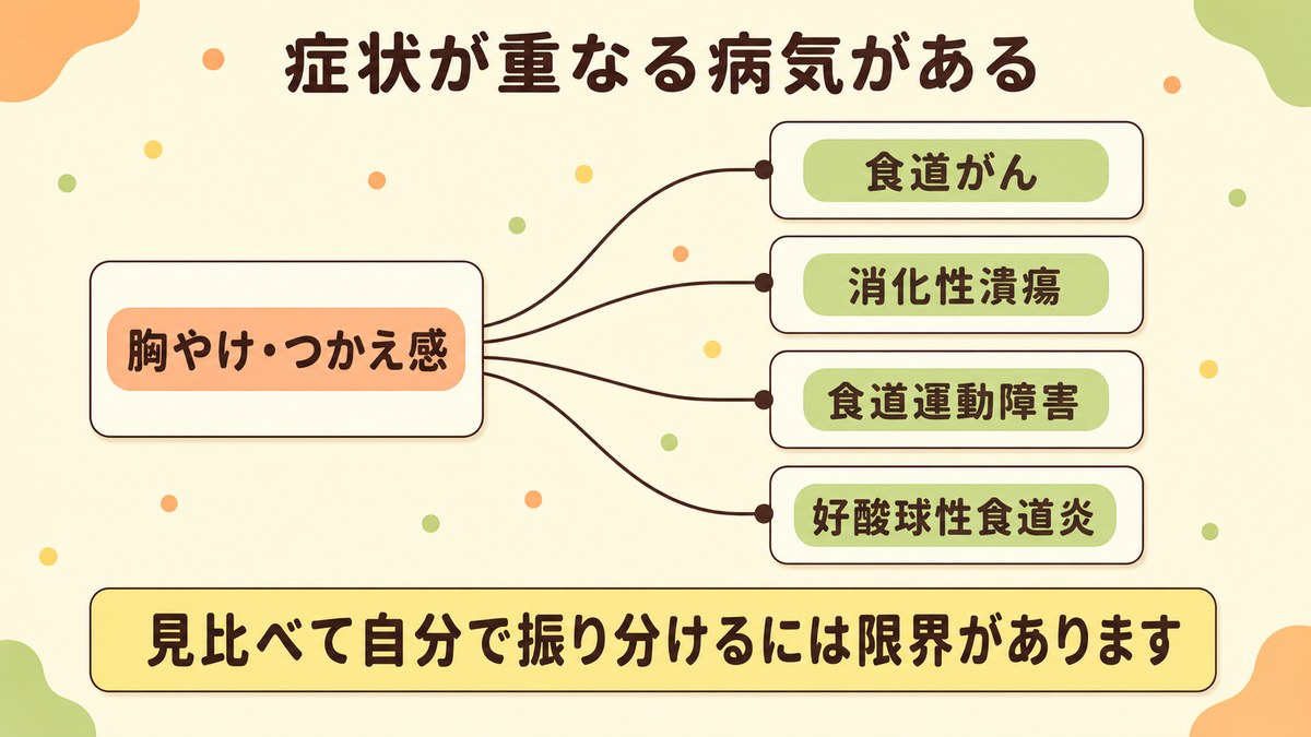 胸やけやつかえ感から食道がん・消化性潰瘍・食道運動障害・好酸球性食道炎へ枝分かれし、症状が重なる病気があることを示した図