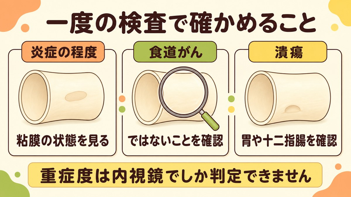 胃カメラの一度の検査で、炎症の程度と食道がんでないこと、潰瘍の有無をあわせて確かめることを示した図