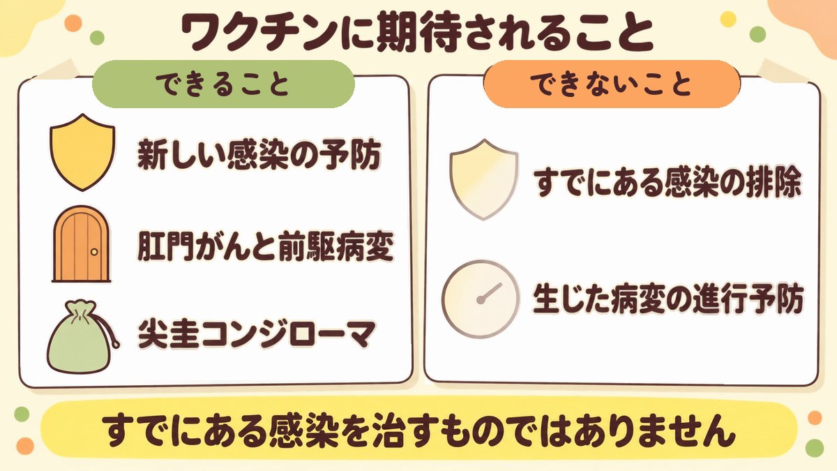 男性のHPVワクチンに期待されるのは新しい感染の予防と肛門がん及びその前駆病変・尖圭コンジローマのリスク低減で、すでに成立した感染の排除や生じた病変の進行予防は期待できないと添付文書に書かれていることを対比した図