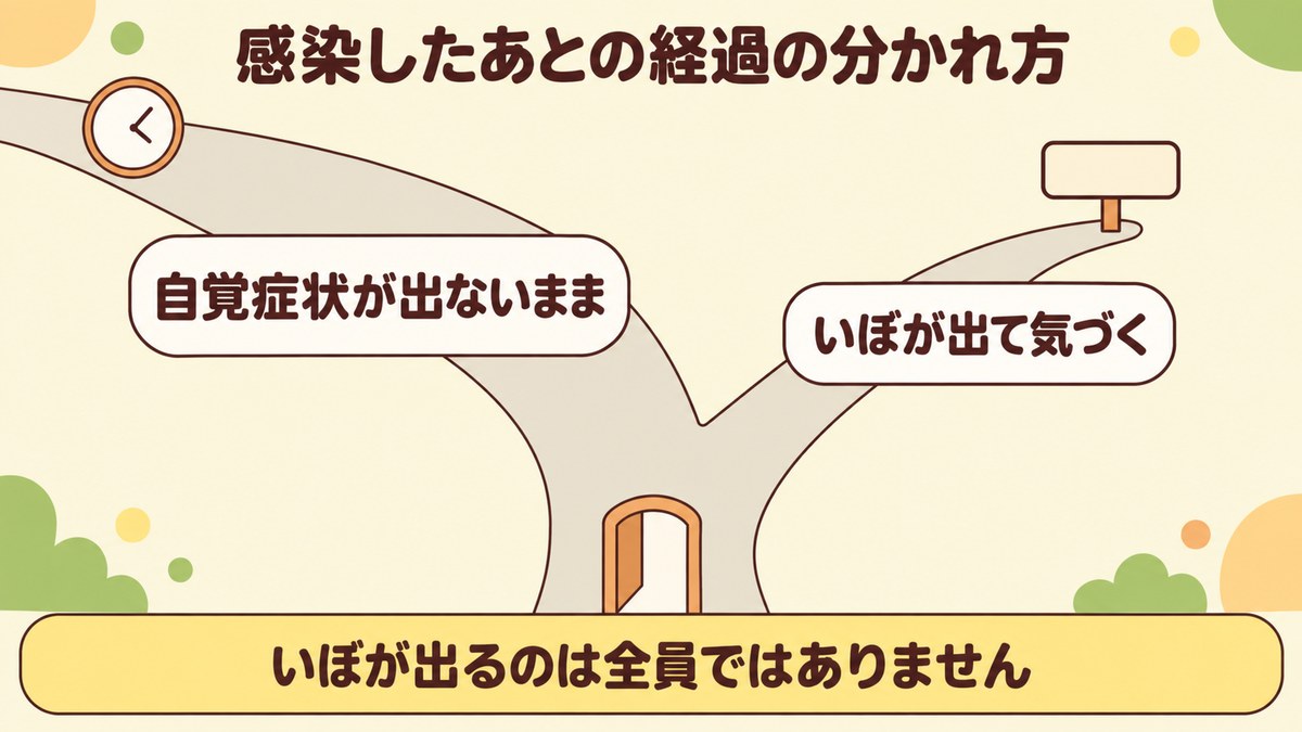 HPVに感染したあとは自覚症状が出ないまま経過することが多く、いぼが出て気づく場合もあるが全員ではないという分かれ方を示した図