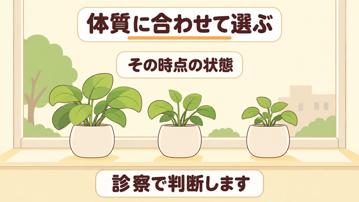 漢方薬は自分で選べる？体質に合わせた選び方