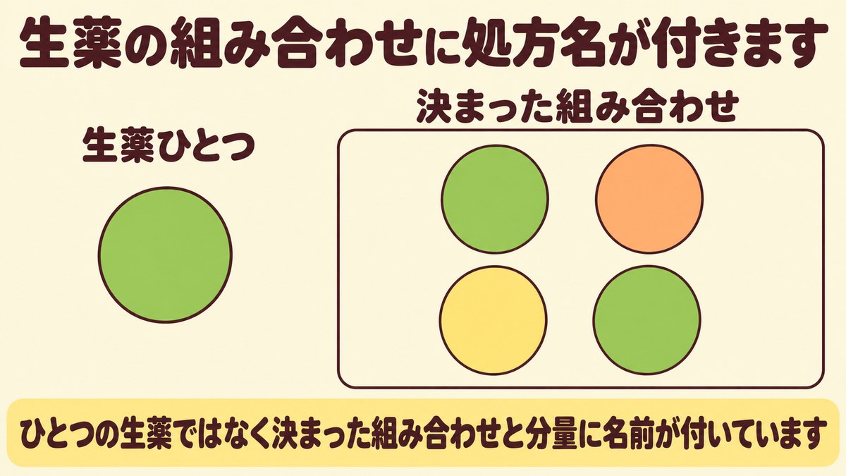 漢方薬の処方名は生薬ひとつではなく決まった組み合わせと分量に付くことを、枠の外に置いたひとつの丸と、枠の中にまとめた四つの丸で示した図