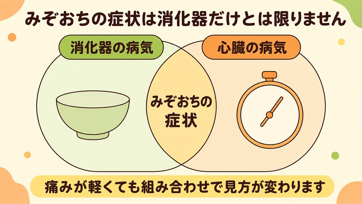 みぞおちの症状は消化器の病気と心臓の病気の両方で起こりうることを重なりで示した図