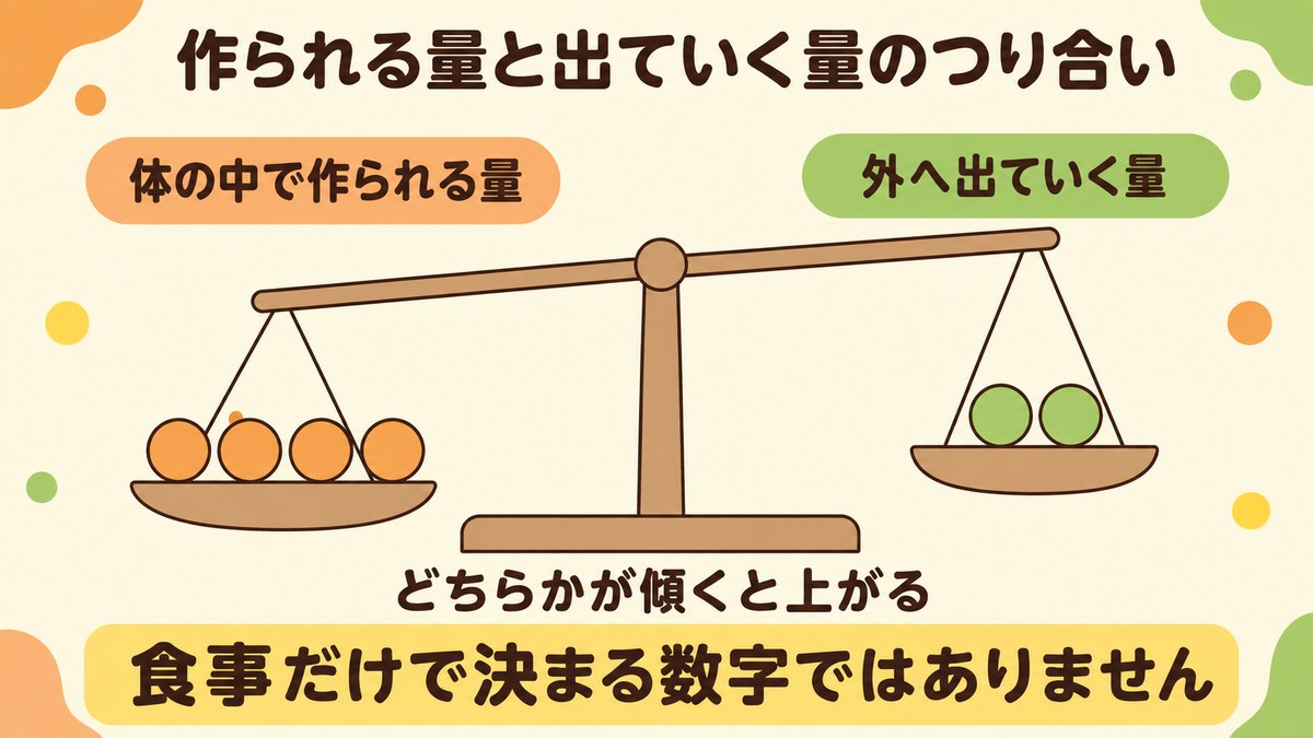 尿酸値が体の中で作られる量と外へ出ていく量のつり合いで決まることを示した図