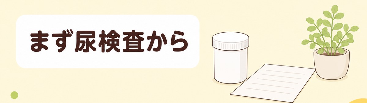 尿蛋白の再検査はまず尿検査から始まることを示した帯