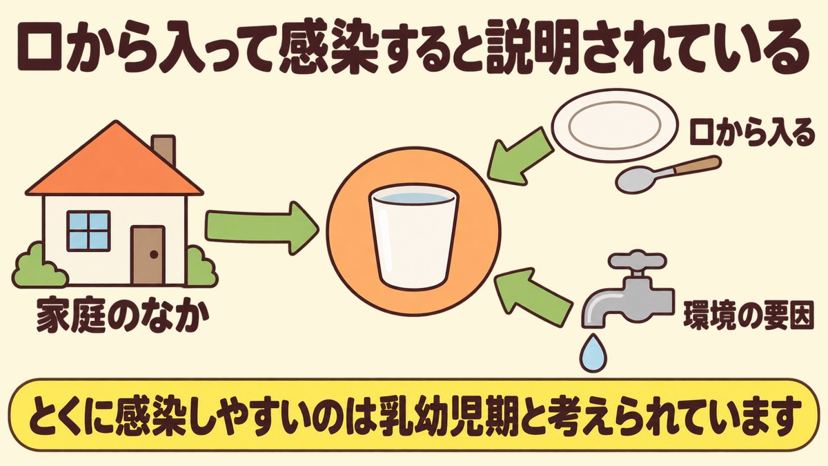 ピロリ菌は口から入って感染すると説明されており、家庭のなか・口から入る・環境の要因の3つの経路が示されていることを、中心へ向かう3本の矢印で示した図