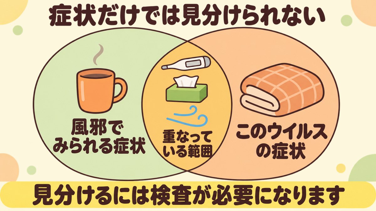風邪でみられる症状とRSウイルスでみられる症状が大きく重なっていて、大人の症状だけでは見分けられないことを二つの輪の重なりで示した図