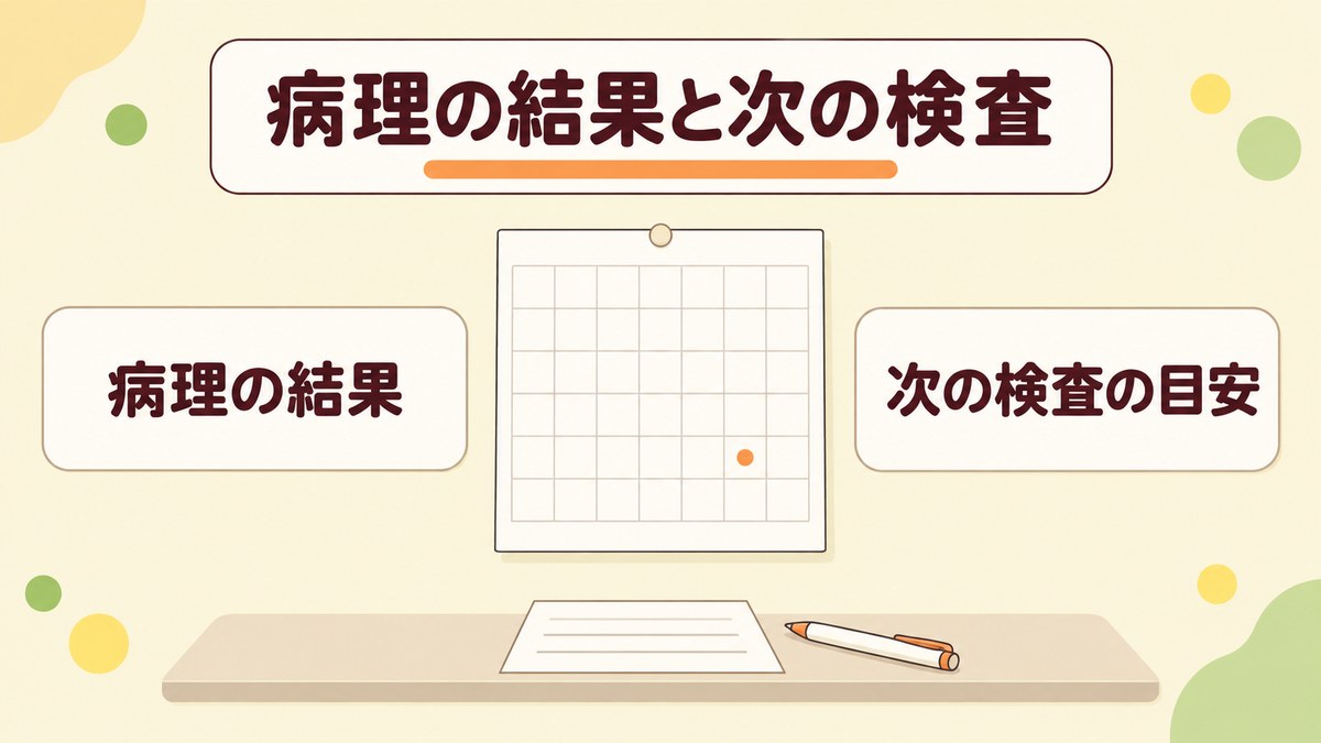 大腸ポリープの病理検査の結果と次の大腸カメラ検査