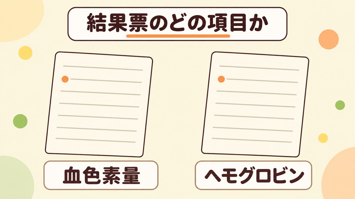 貧血の数値は健康診断の結果票のどの項目か