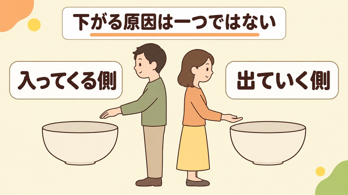 貧血の数値が下がる原因は鉄の不足だけではない