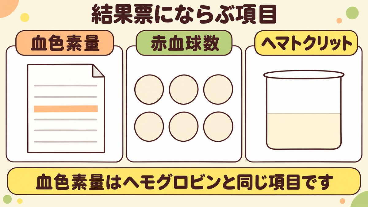 健康診断の結果票にならぶ血色素量と赤血球数とヘマトクリットの三つの項目を示した図