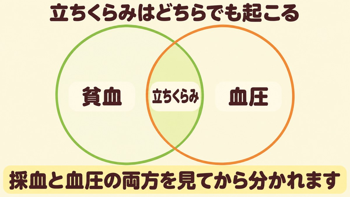 立ちくらみは貧血でも血圧でも起こり、どちらが背景かは採血と血圧の両方を見てから分かれることを示した図