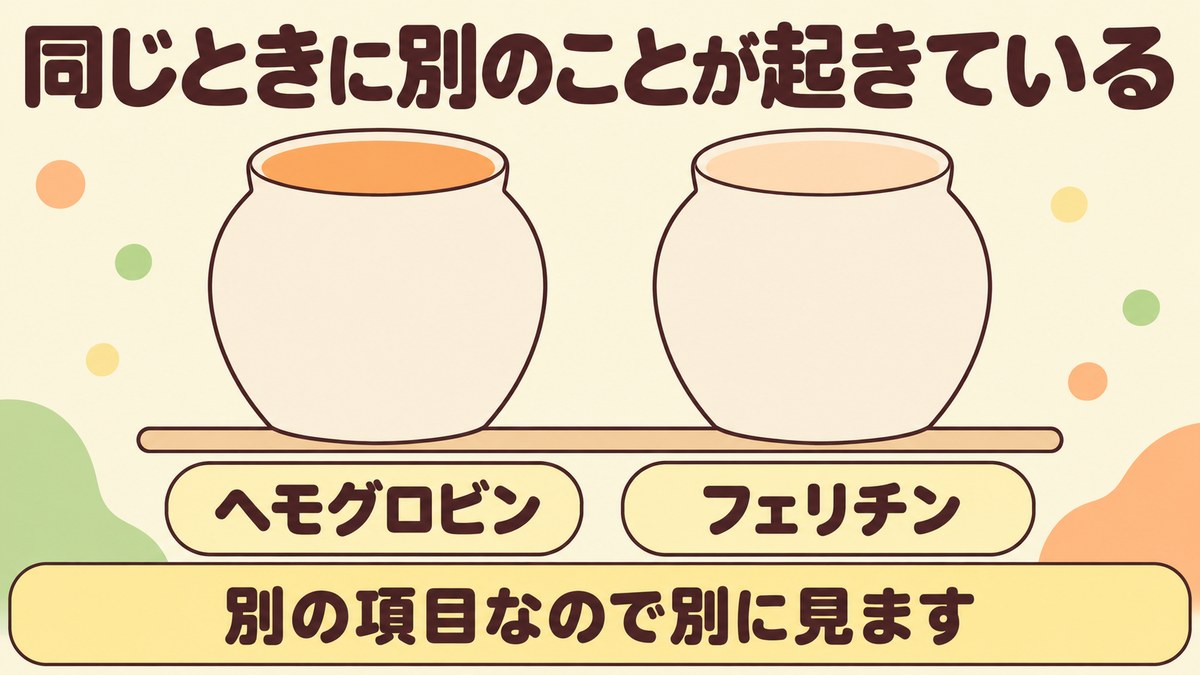 ヘモグロビンとフェリチンは別の項目で、ヘモグロビンが足りていてもフェリチンが低いことがあると示した図