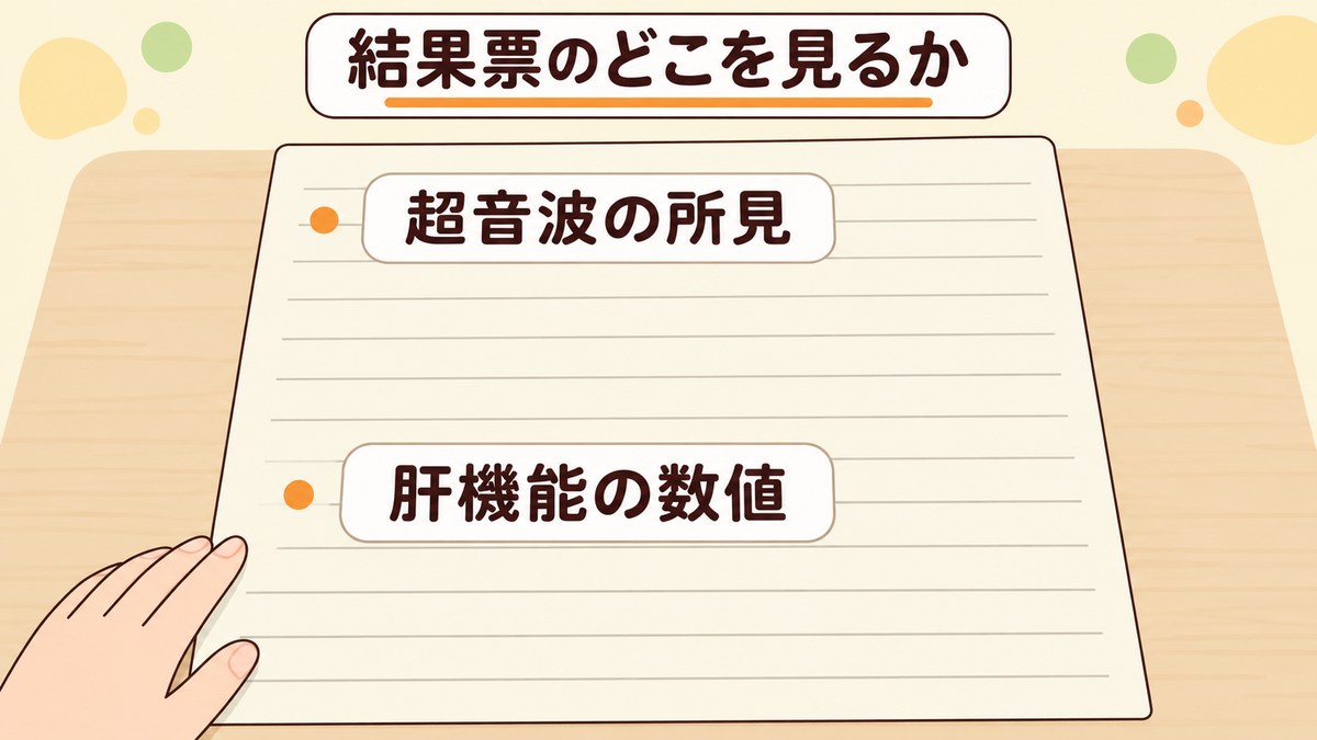 健診で脂肪肝と指摘された結果票のどこを見るか