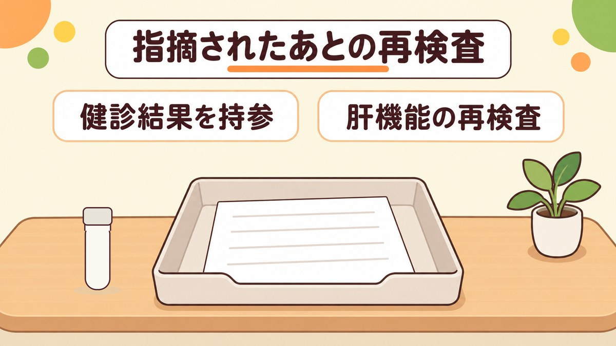 健診で脂肪肝を指摘されたあとの当院での再検査