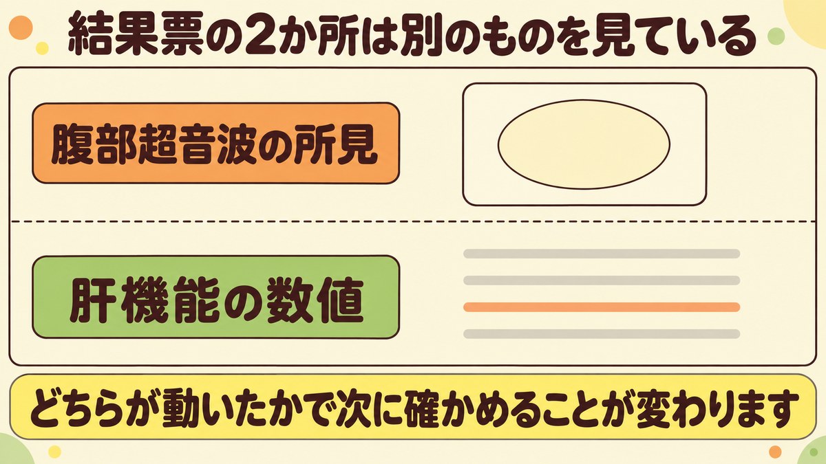 健康診断の結果票では腹部超音波の所見と肝機能の数値という別々の2か所を見ることを、1枚の紙の離れた2行で示した図