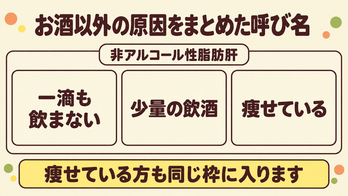 お酒を一滴も飲まない人も少量の飲酒の人も痩せている人も、非アルコール性脂肪肝という同じ呼び名の枠に入ることを示した図