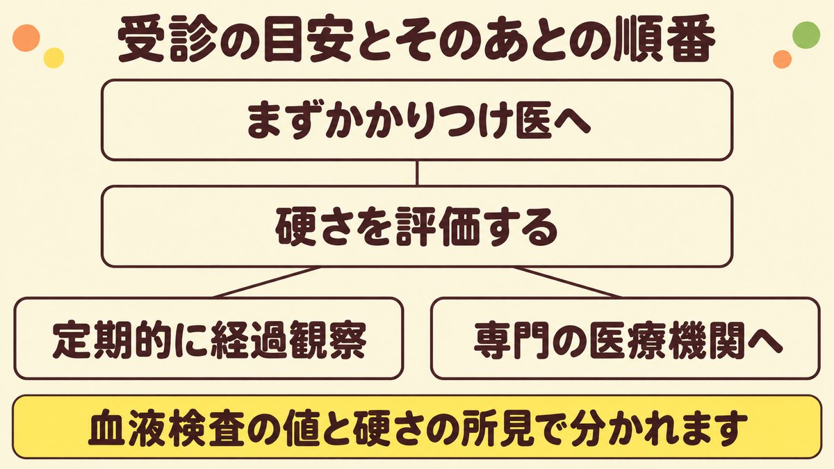 血液検査の値でまずかかりつけ医を受診し、肝臓の硬さを評価したあとに経過観察と専門の医療機関へ分かれる順番を示した図