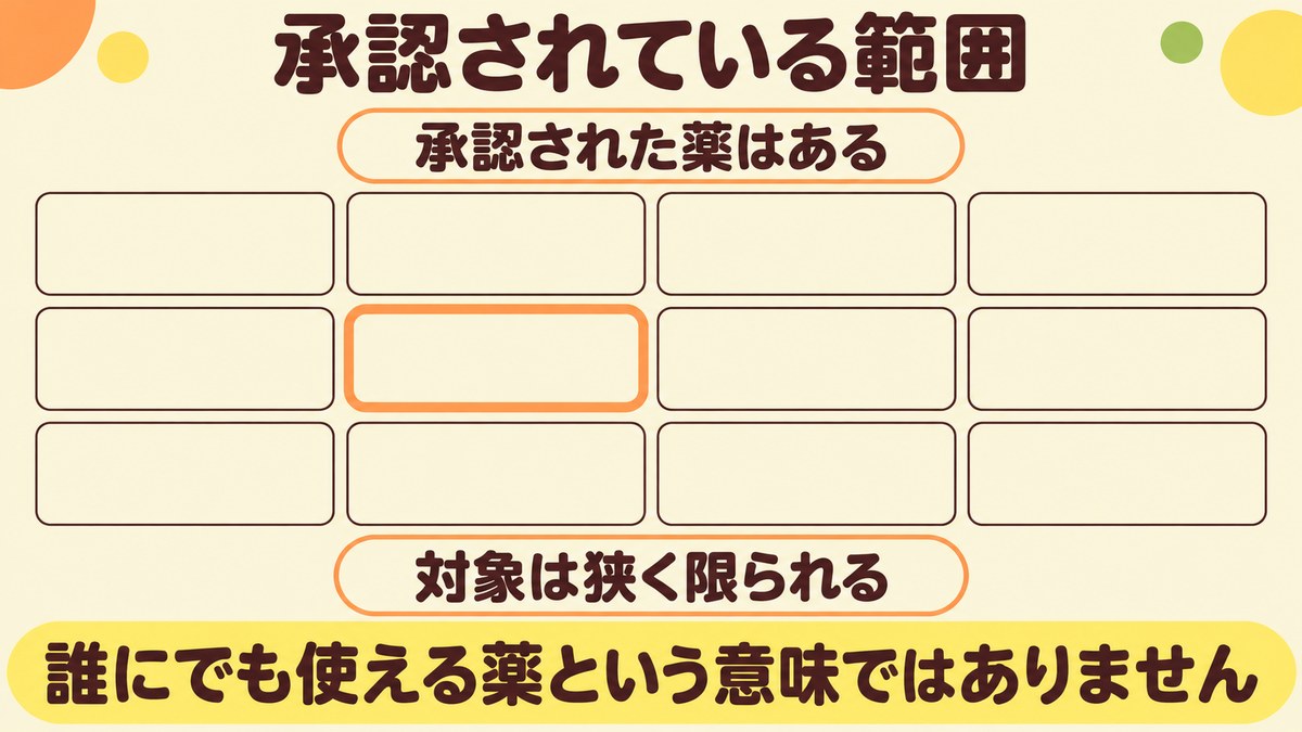 脂肪肝の薬として国内で承認されている範囲が狭く限られていることを、格子の中の1区画で示した図
