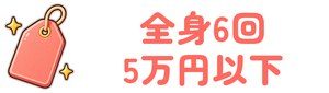 全身6回5万円以下