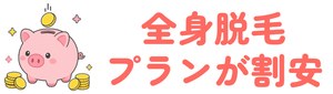 全身脱毛プランが割安
