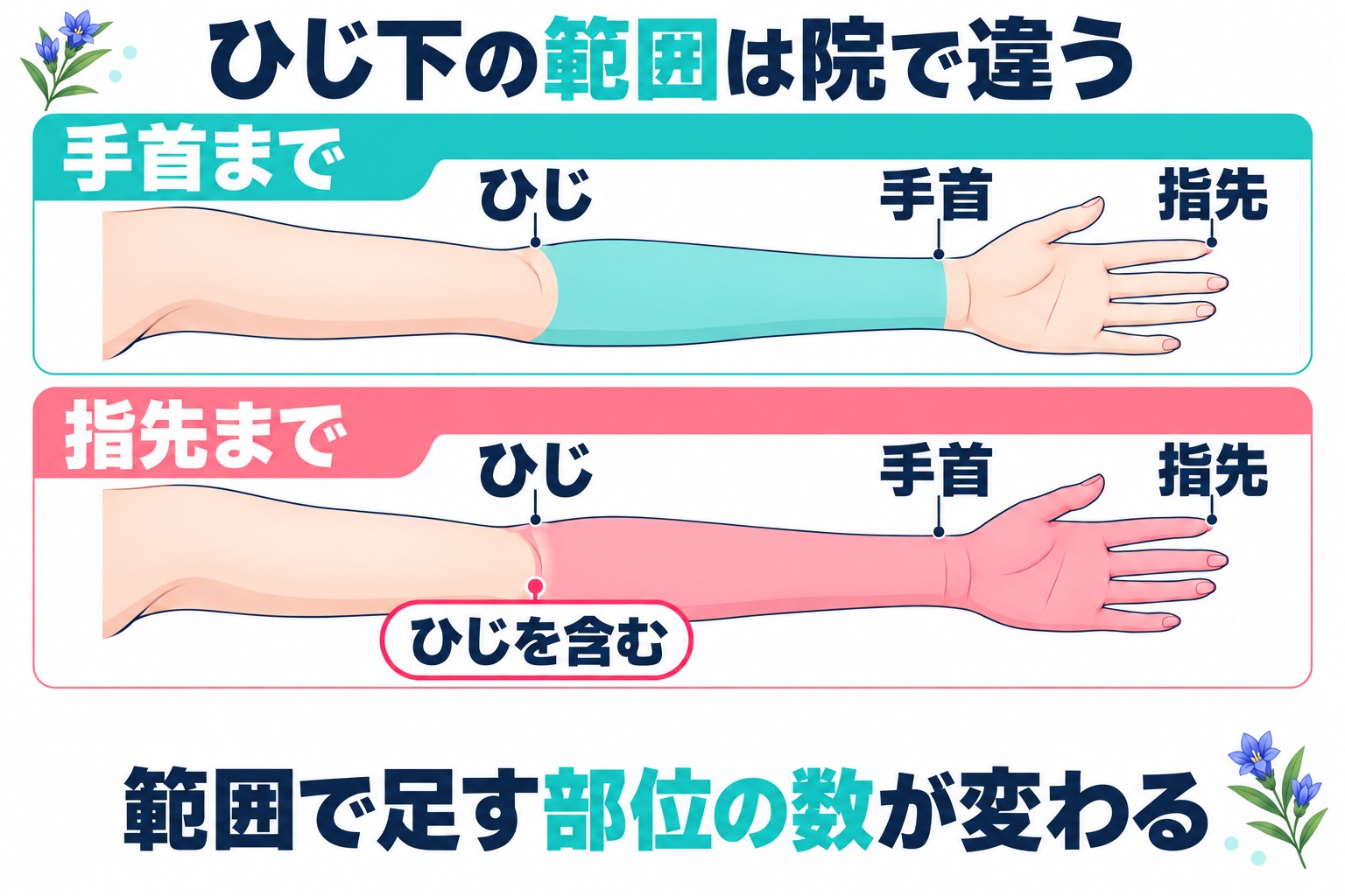 ひじ下の範囲が手首までの院とひじを含めて指先までの院で違い足す部位の数が変わることを示す腕の図