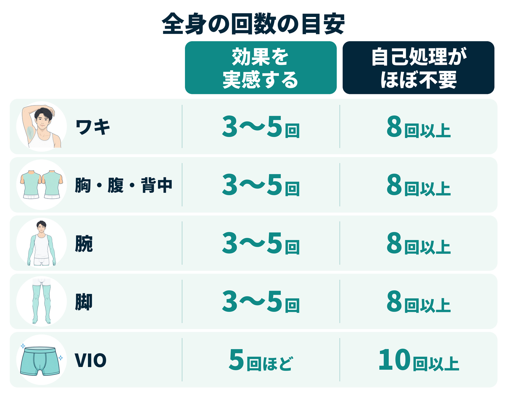 全身の回数の目安(効果を実感する回数・自己処理がほぼ不要になる回数:ワキ3〜5回・8回以上、胸・腹・背中3〜5回・8回以上、腕と脚3〜5回・8回以上、VIO5回ほど・10回以上)