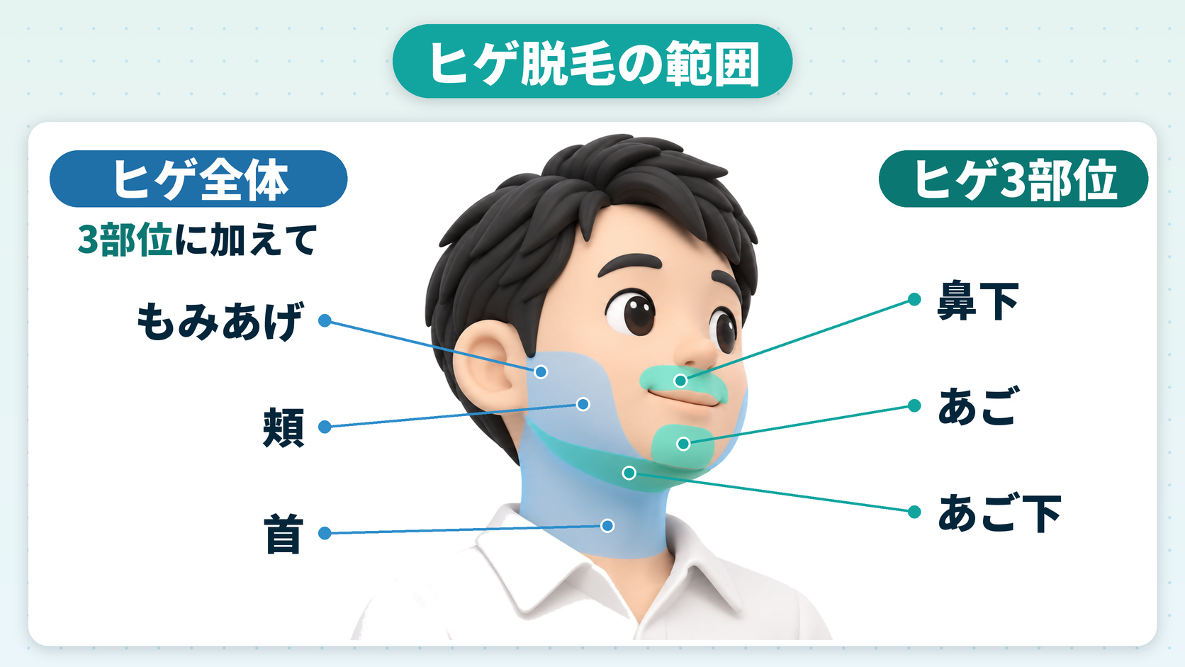 ヒゲ脱毛の範囲（ヒゲ3部位は鼻下・あご・あご下、ヒゲ全体はもみあげ・頬・首まで）