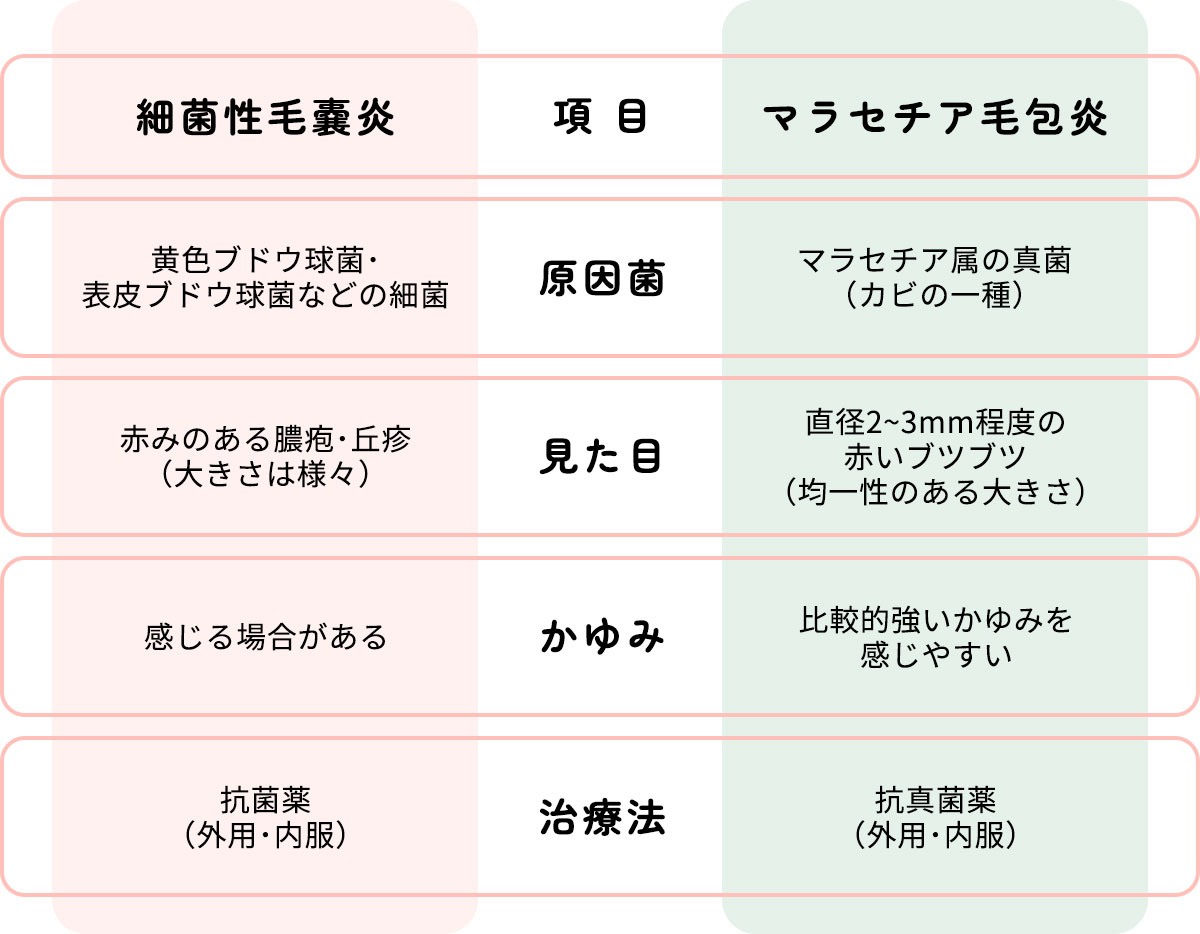 毛嚢炎とマラセチア毛包炎の比較表