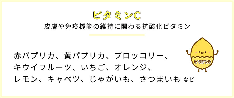 ビタミンC　皮膚や免疫機能の維持に関わる抗酸化ビタミン