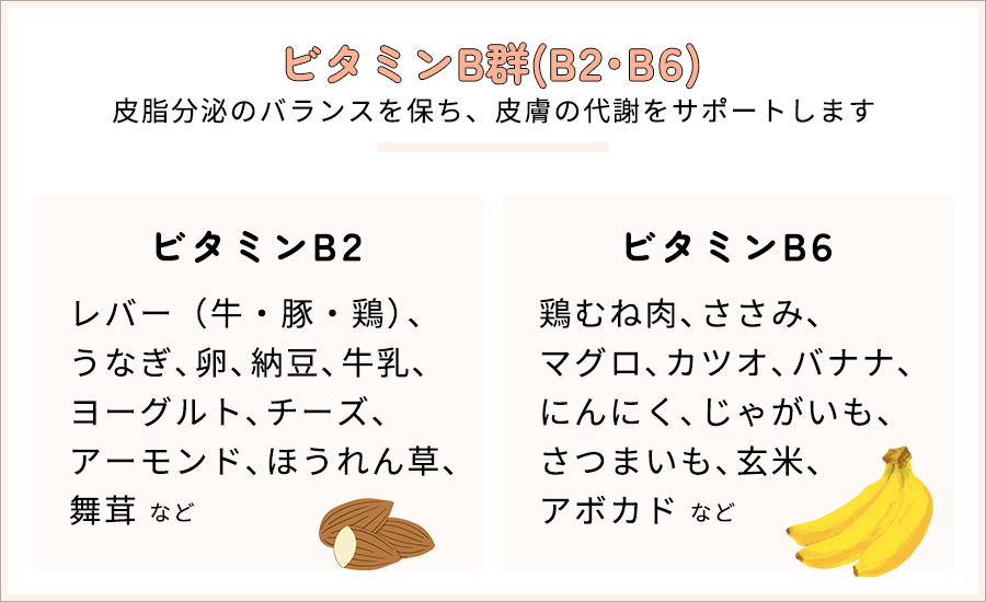 ビタミンB群（B2・B6）皮脂分泌のバランスを保ち、皮膚の代謝をサポート