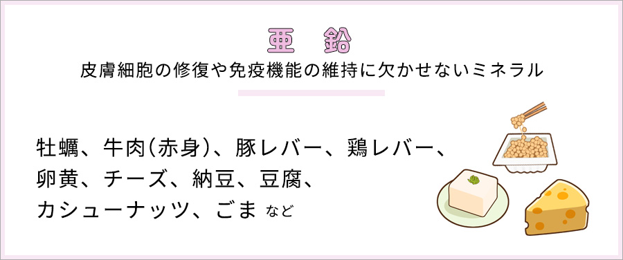 亜鉛　皮膚細胞の修復や免疫機能の維持に欠かせないミネラル