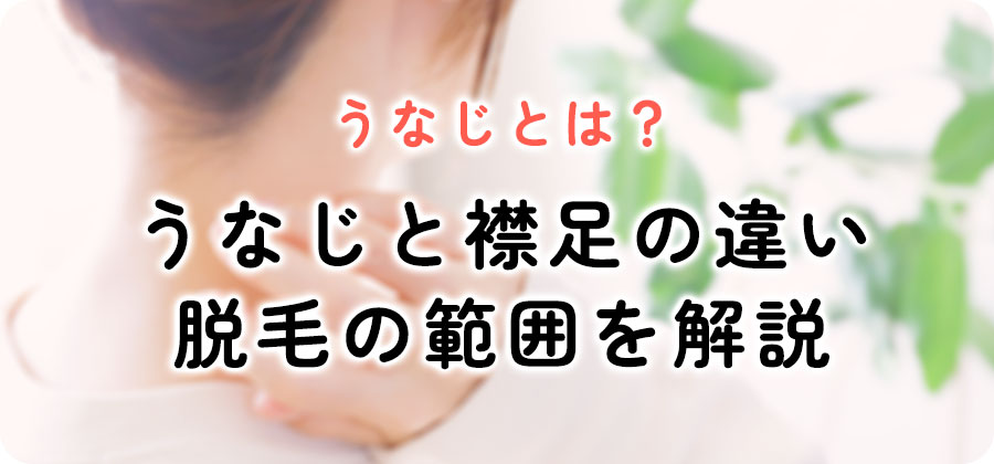 うなじについて襟足との違いを解説