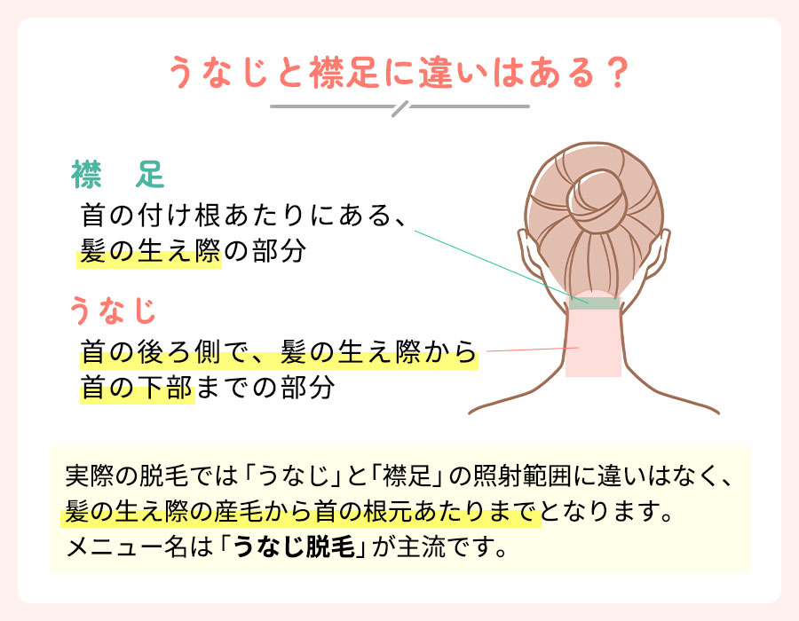 うなじと襟足に違いはある？