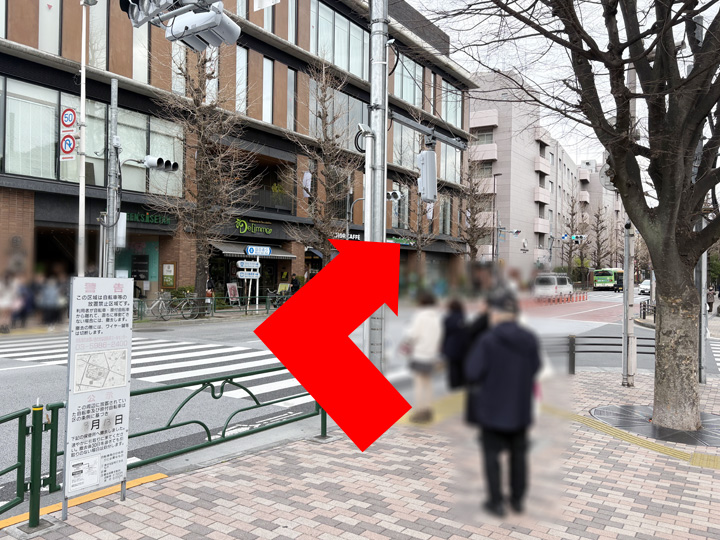 横断歩道と目白通りの写真